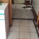 video/mp4 | 200