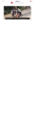 text/html; charset=UTF-8 | 200