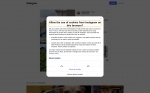 text/html; charset=