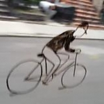 video/mp4 | 200