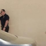 video/mp4 | 200