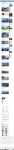 text/html; charset=utf-8 | 200