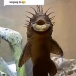 video/mp4 | 200