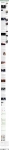 text/html; charset=utf-8 | 200