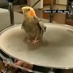 video/mp4 | 200