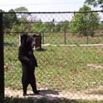 video/mp4 | 200