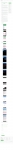 text/html | 403