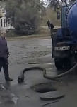 video/mp4 | 200