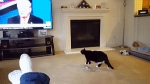 image/gif | 200