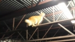 video/webm | 200