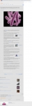 text/html;;charset=UTF-8 | 200