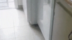 image/gif | 200